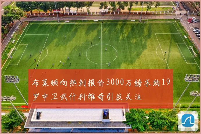布莱顿向热刺报价3000万镑求购19岁中卫武什科维奇引发关注