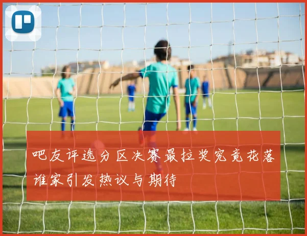 吧友评选分区决赛最拉奖究竟花落谁家引发热议与期待